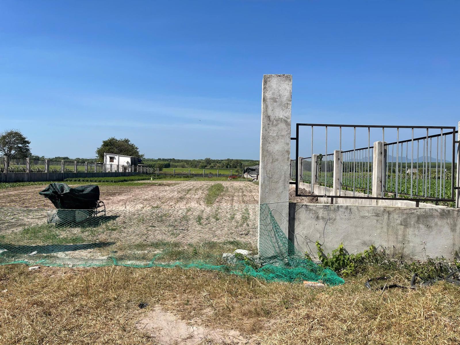 Bán 1003m2 đất Hẻm Nguyễn Minh Châu - Tân Tiến - LaGi giá rẻ tặng bản vẽ 3D 15993185