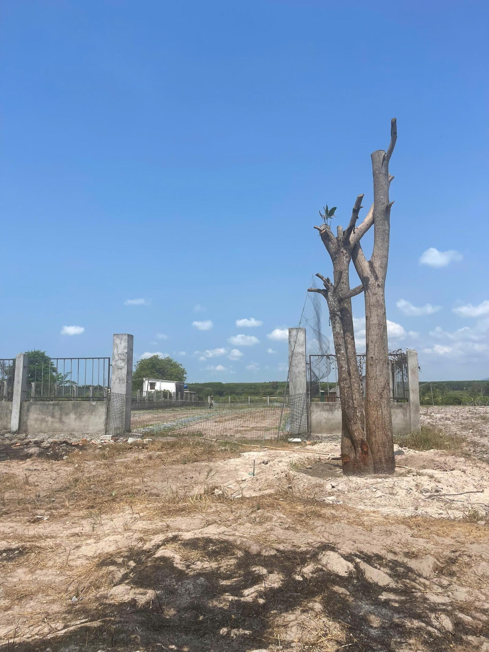 Bán 1003m2 đất Hẻm Nguyễn Minh Châu - Tân Tiến - LaGi giá rẻ tặng bản vẽ 3D 15993185