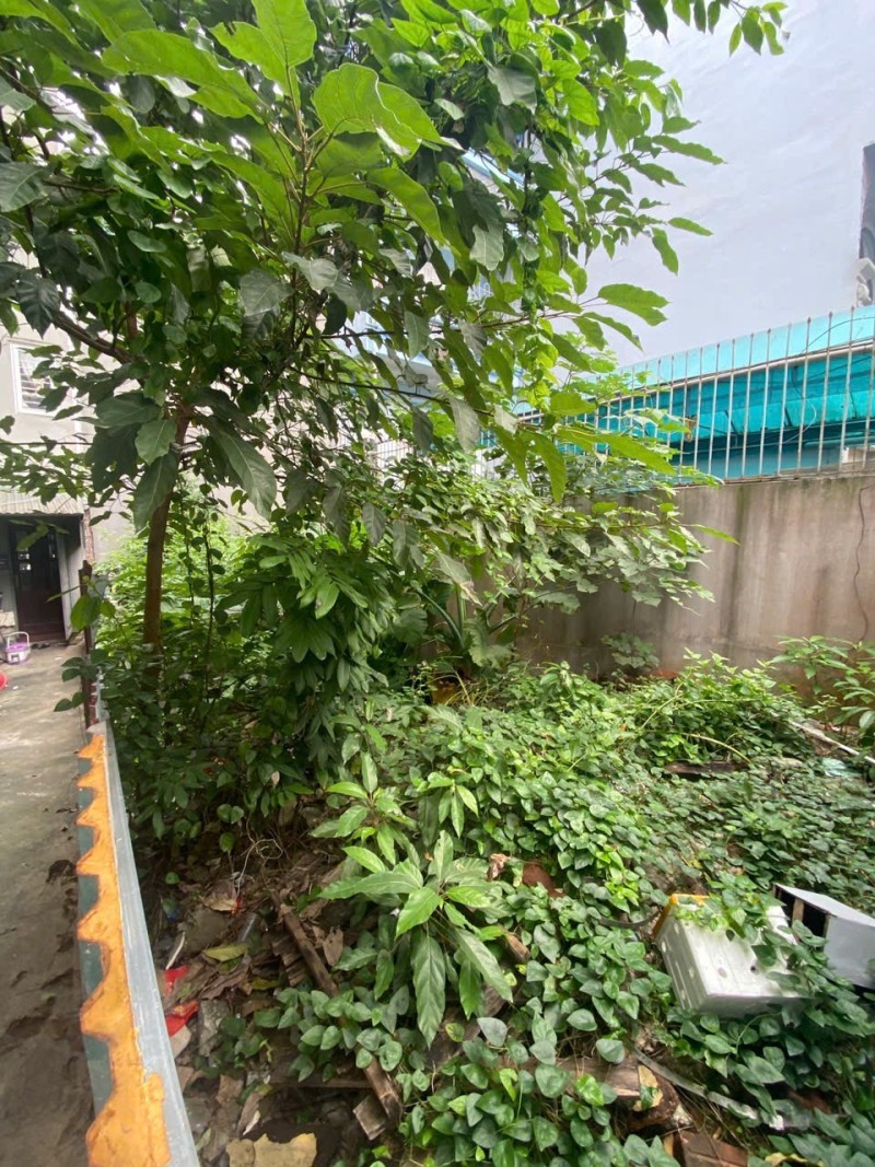 ĐẤT LÔ GÓC NGỌC THỤY – Ô TÔ TRÁNH – KINH DOANH TỐT 15993214