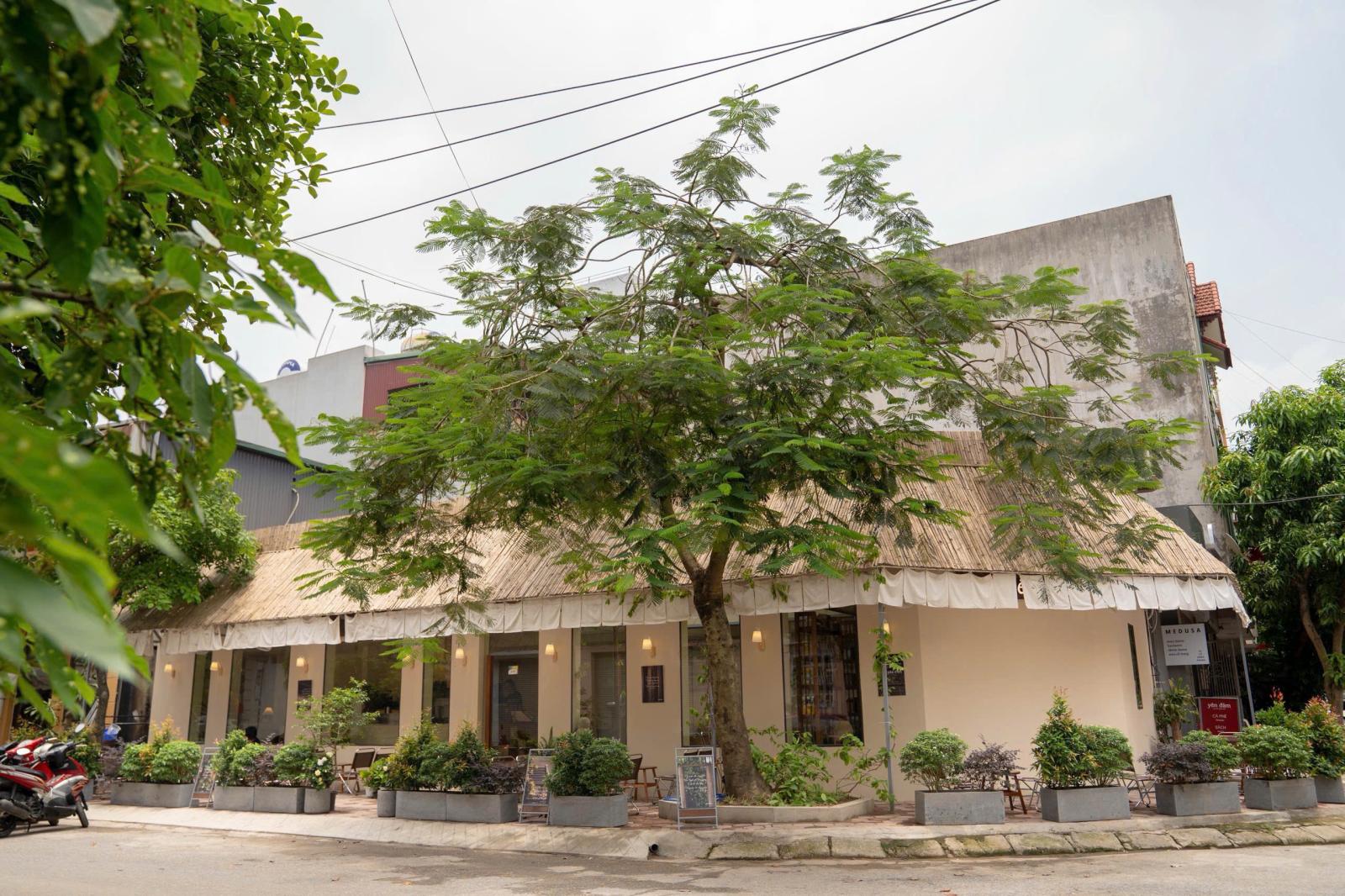 CHÍNH CHỦ SANG NHƯỢNG QUÁN CAFE KHÔNG GIAN CHILL TẠI TỪ SƠN, BẮC NINH 15993222