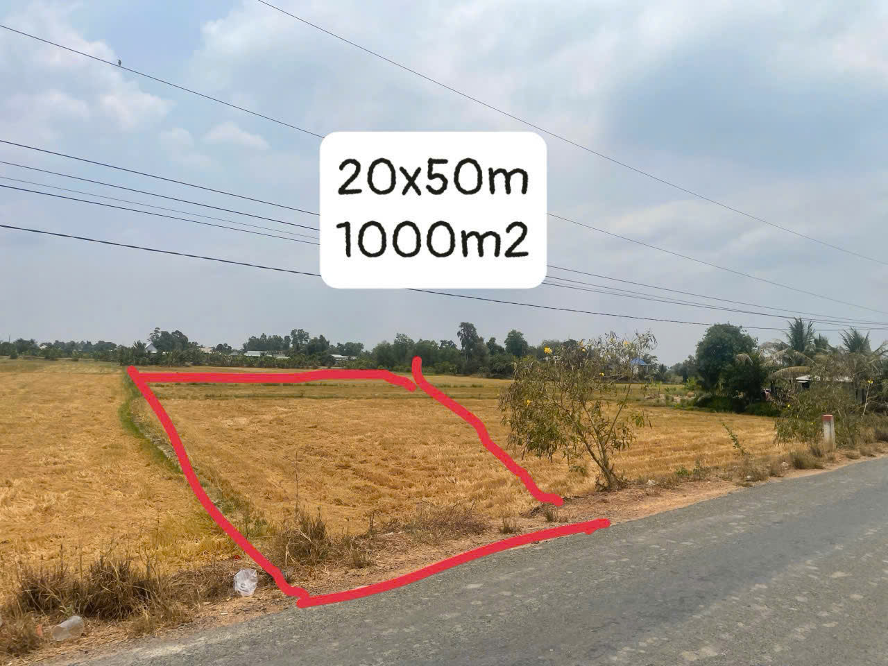 CHÍNH CHỦ BÁN 1000m2 ĐẤT THỔ CƯ – GIÁ TỐT TẠI LONG AN 15993235