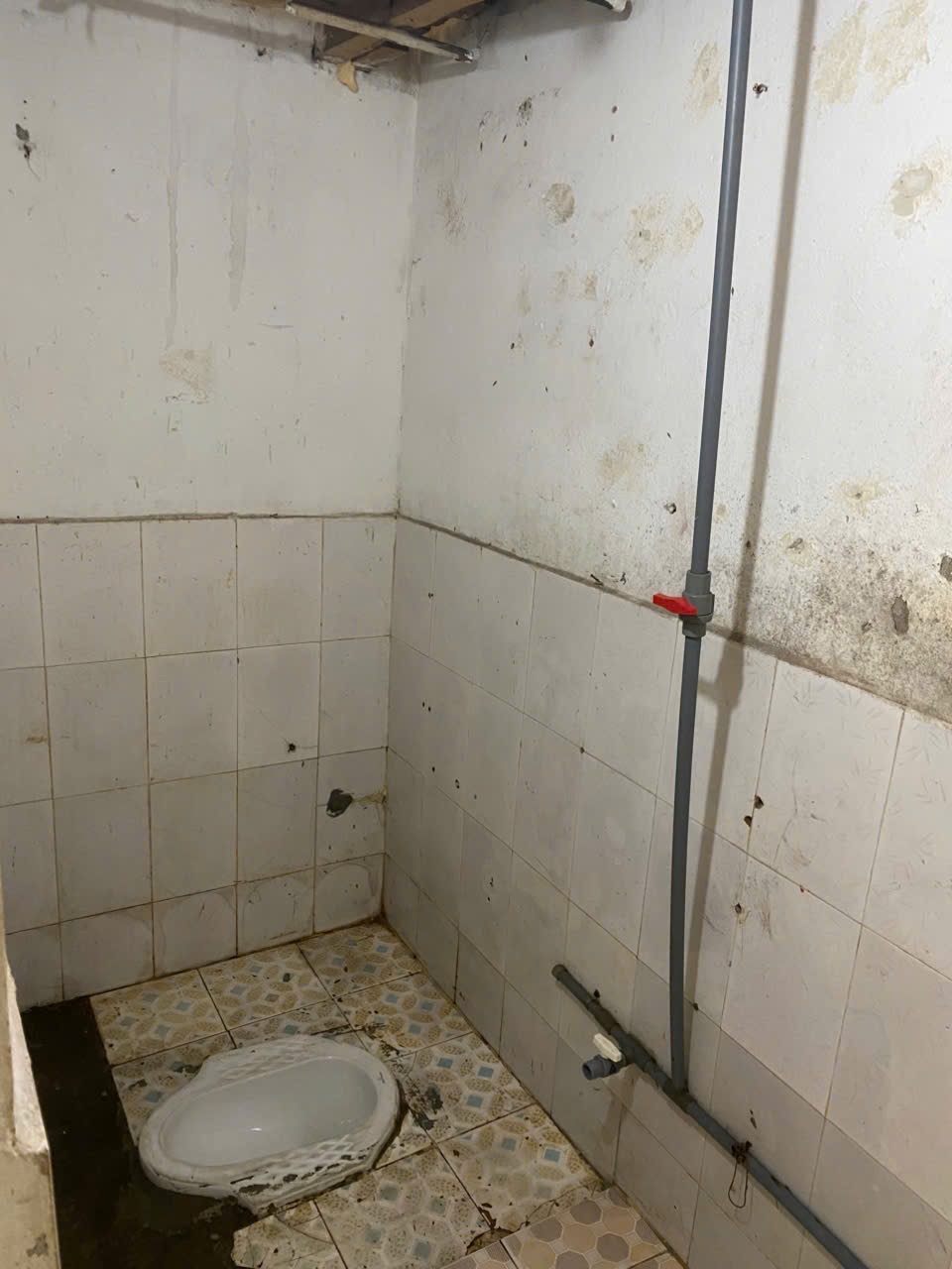 Chính chủ cần cho thuê phòng trọ tại số 1 ngõ 29/72 Khương Hạ, phường Khương Đình, Hà Nội 15993237