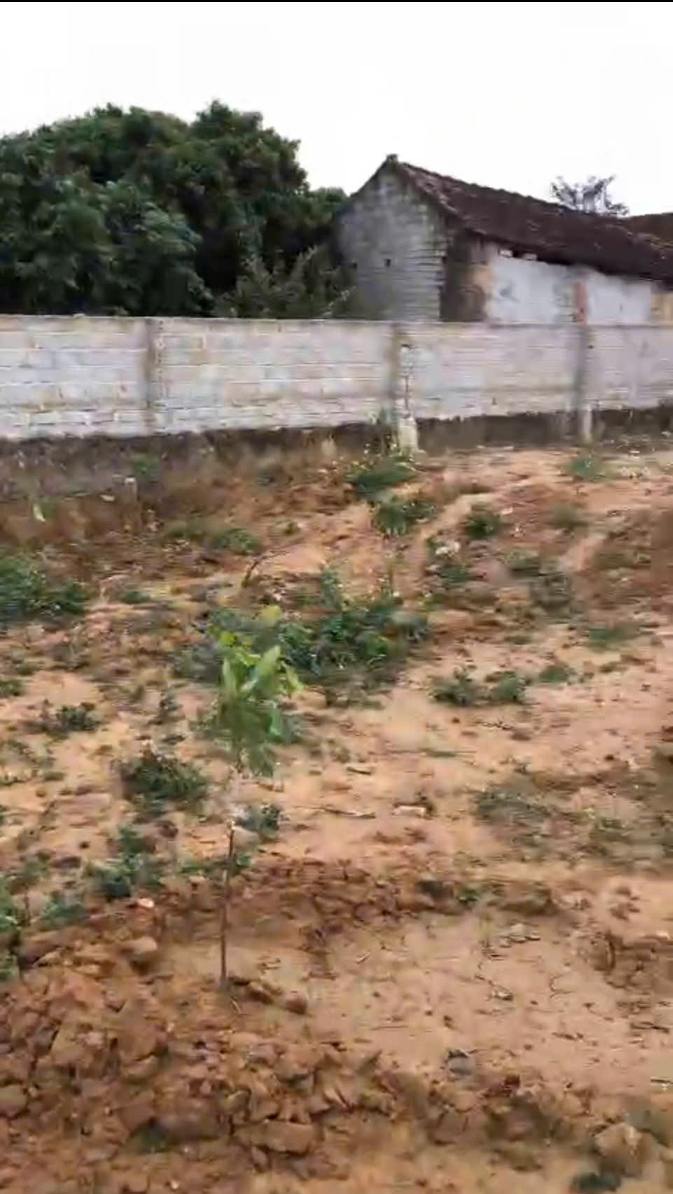 CÔNG TY CHÚNG TÔI CẦN CHO THUÊ ĐẤT , LẠNG GIANG , BẮC GIANG 15993240