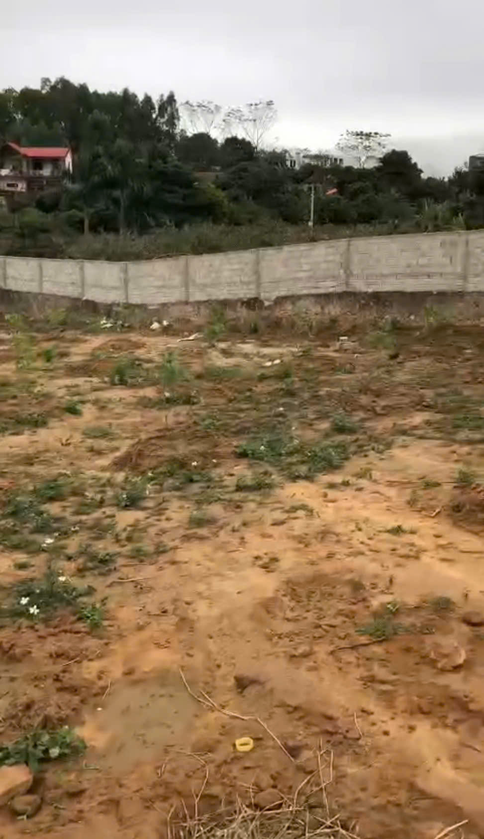 CÔNG TY CHÚNG TÔI CẦN CHO THUÊ ĐẤT , LẠNG GIANG , BẮC GIANG 15993240