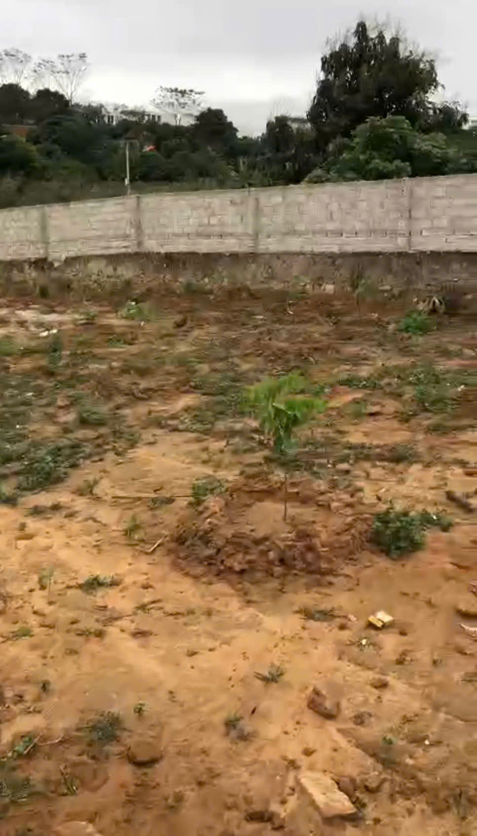 CÔNG TY CHÚNG TÔI CẦN CHO THUÊ ĐẤT , LẠNG GIANG , BẮC GIANG 15993240