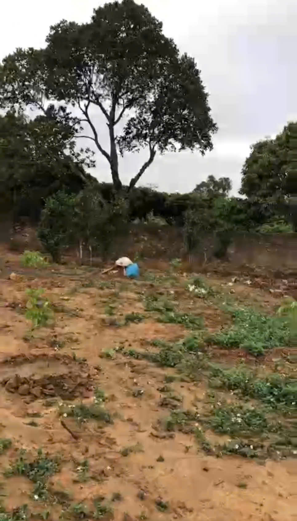 CÔNG TY CHÚNG TÔI CẦN CHO THUÊ ĐẤT , LẠNG GIANG , BẮC GIANG 15993240