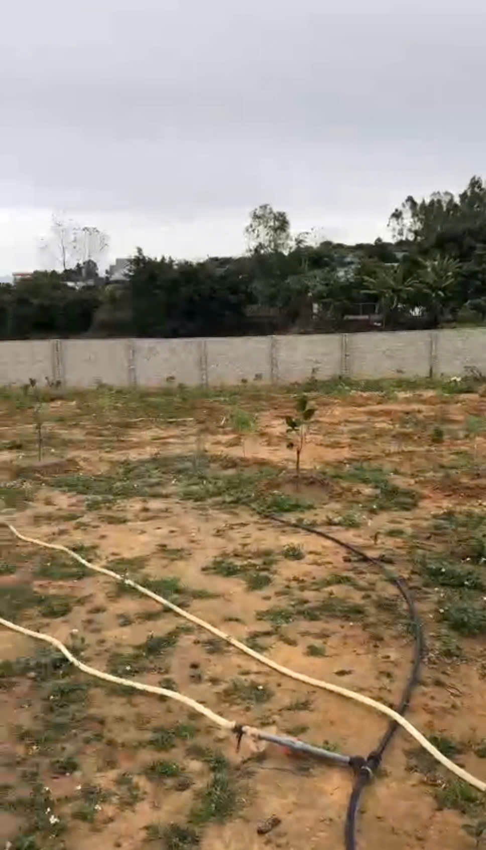 CÔNG TY CHÚNG TÔI CẦN CHO THUÊ ĐẤT , LẠNG GIANG , BẮC GIANG 15993240