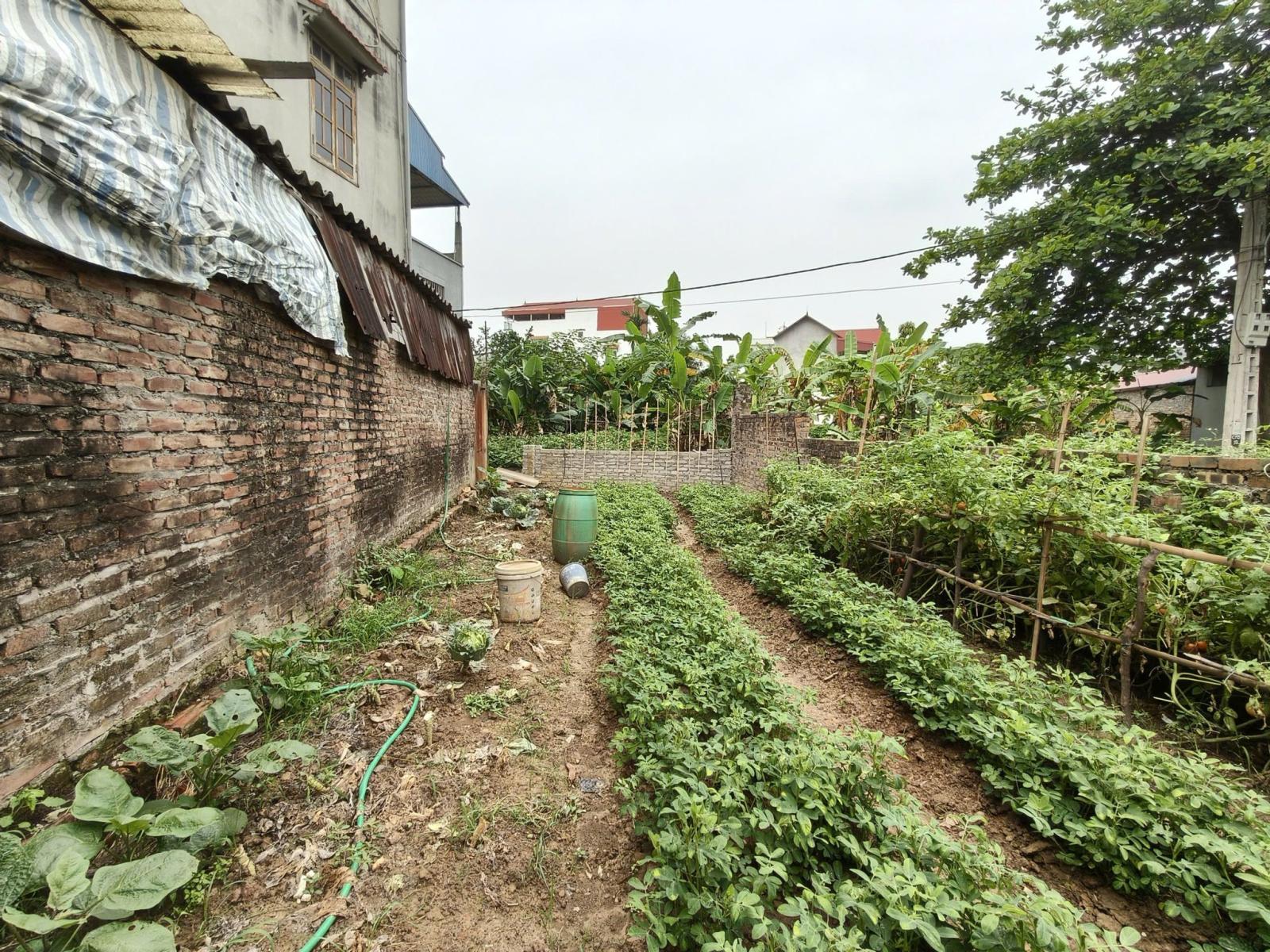 Đất Thụy Lâm 90m2, mt5m, 6.5 tỷ, ô tô, Đông Anh 15993261