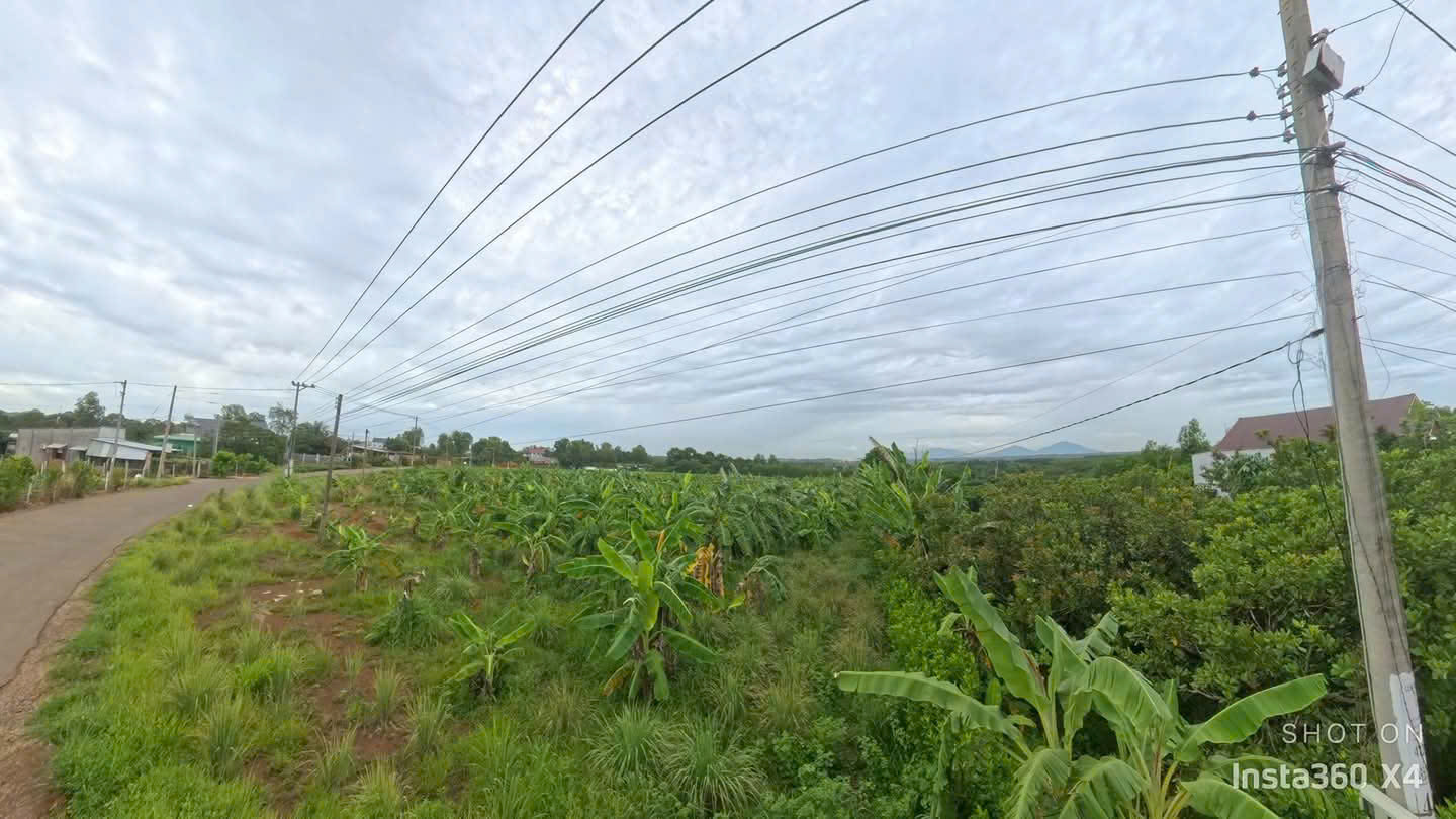 Bán Lô Đất nằm sau sân bay long thành, Đồng Nai. 15993403