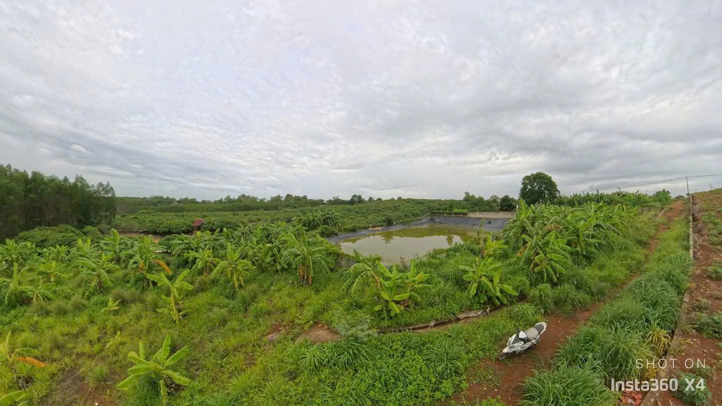 Bán Lô Đất nằm sau sân bay long thành, Đồng Nai. 15993403