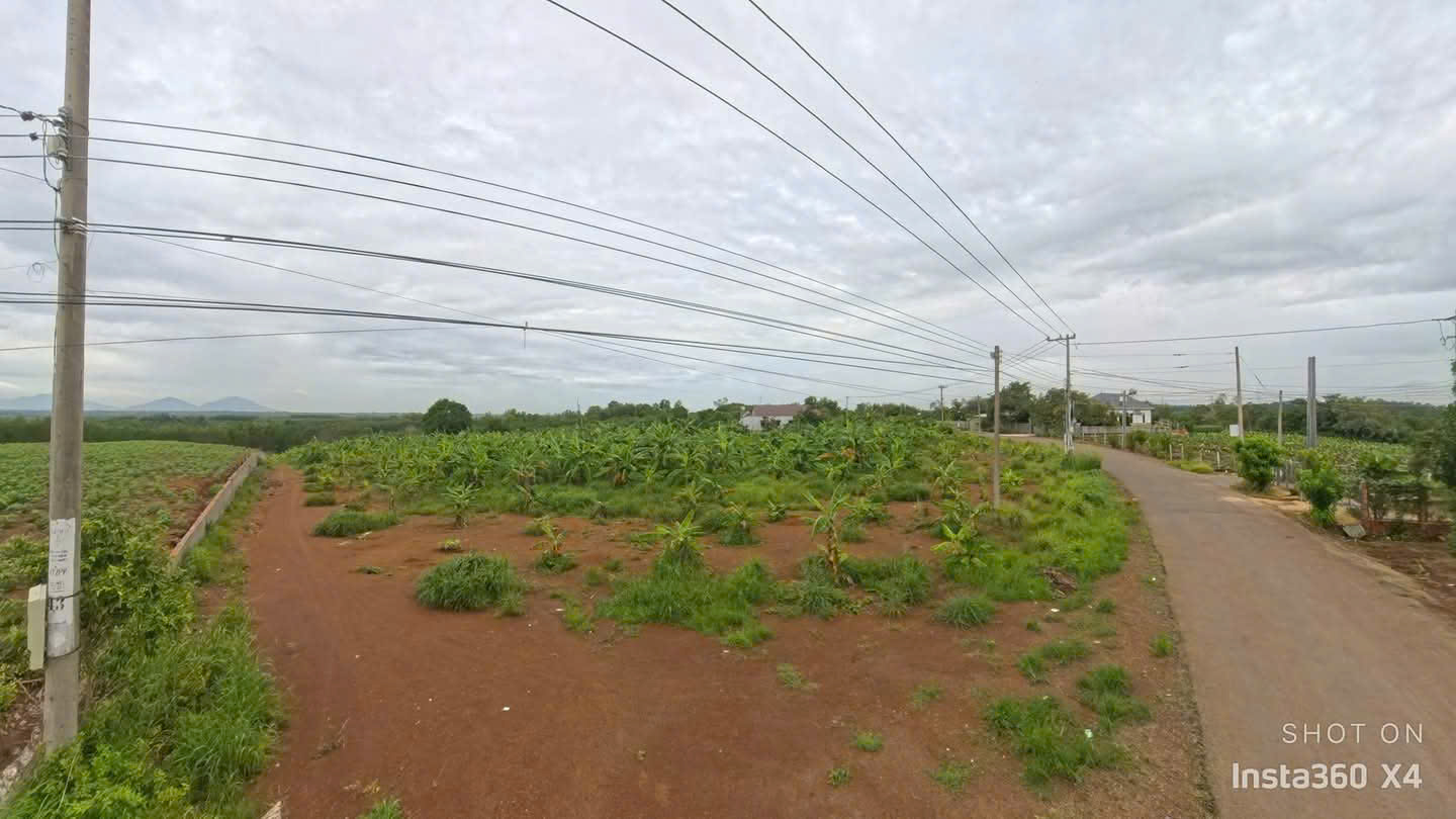 Bán Lô Đất nằm sau sân bay long thành, Đồng Nai. 15993403