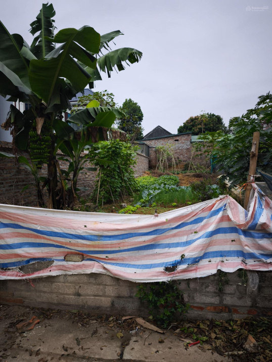 Cực Phẩm hòa lạc 131m2, hàng hiếm tại Thạch Thất, Hà Nội 15993492