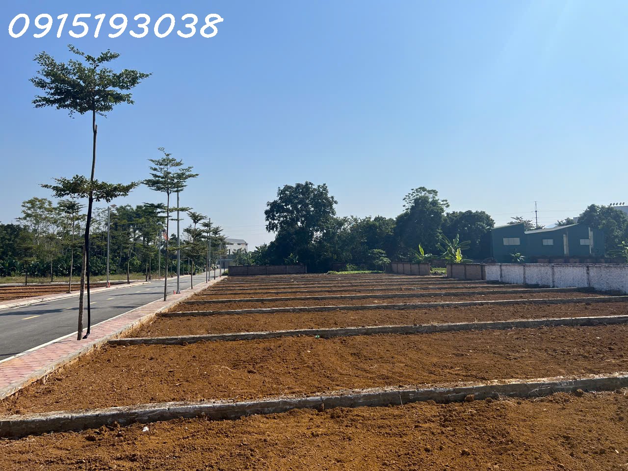 TÔI CHÍNH CHỦ CẦN TIỀN BÁN CẮT LỖ LÔ ĐẤT VÀNG Ở PHÚ CÁT - SÁT VÁCH TỈNH LỘ 446 - QUỐC LỘ 21 15993518