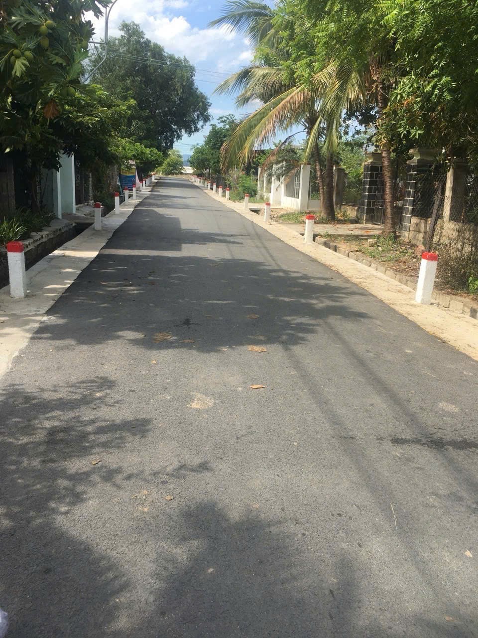 ĐẤT ĐẸP - GIÁ TỐT - Bán GẤP Lô Đất Tiềm Năng Tại xã Cam Phước Tây, Cam Lâm, Khánh Hòa 15993530