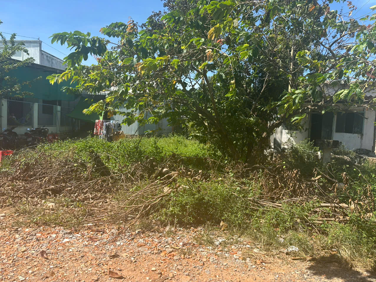 Bán 12m x 25m đất thổ cư KDC Ba Đăng, Tân Hải, LaGi giá ngộp 1.65 tỷ 15993533