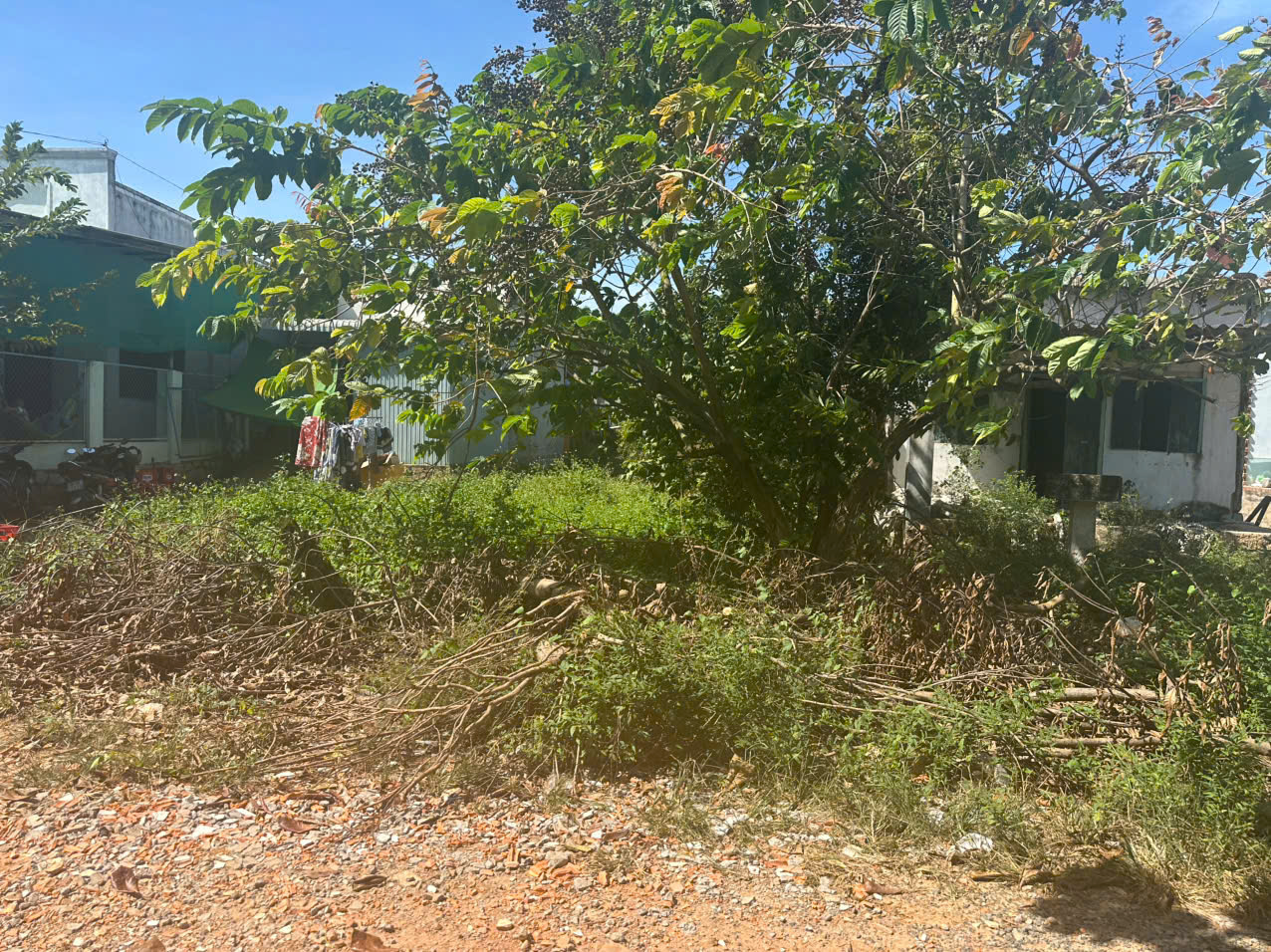 Bán 12m x 25m đất thổ cư KDC Ba Đăng, Tân Hải, LaGi giá ngộp 1.65 tỷ 15993533