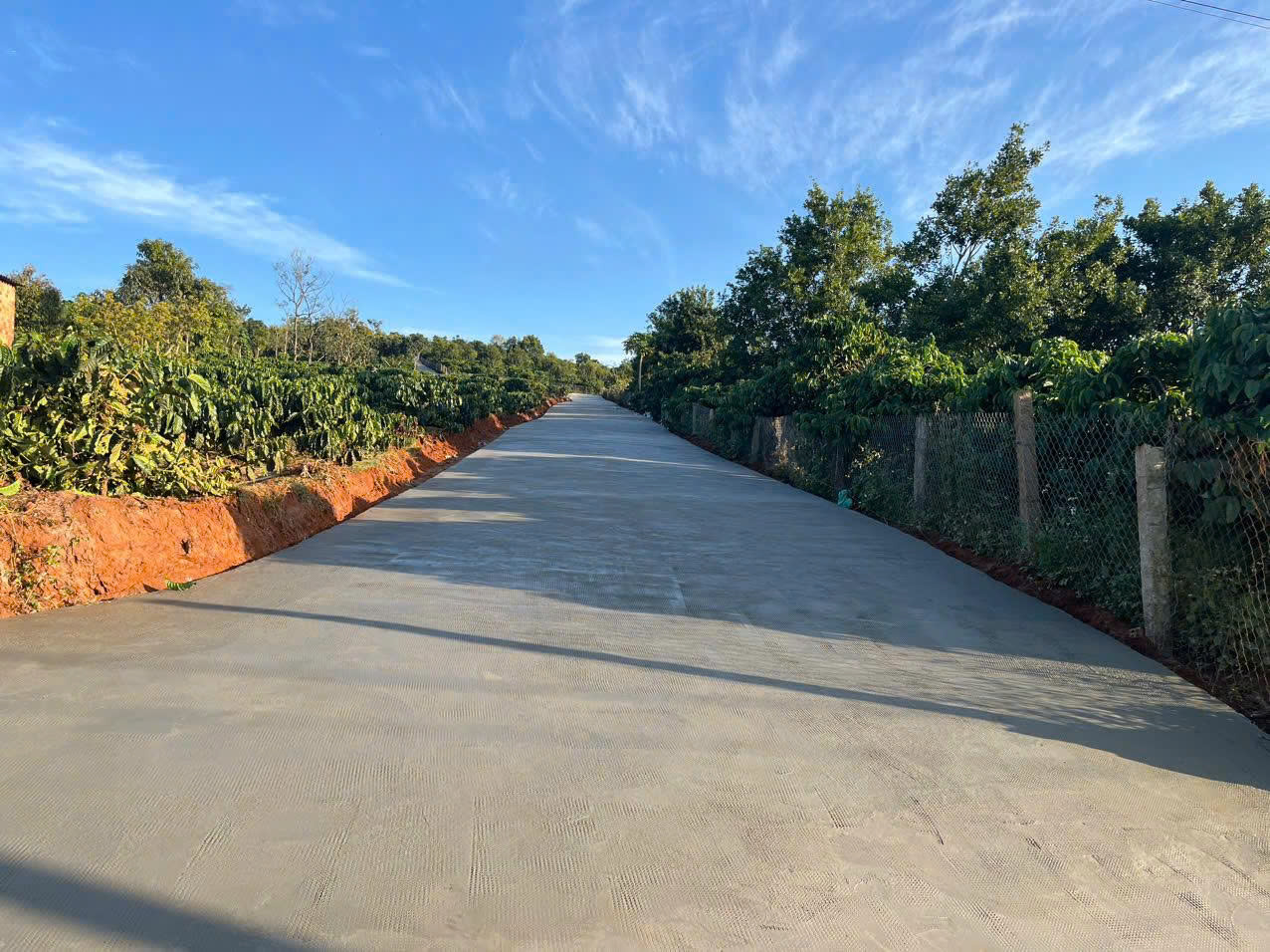 CHÍNH CHỦ CẦN BÁN LÔ ĐẤT CÓ VỊ TRÍ ĐẸP TẠI XÃ TÂN HÀ - LÂM HÀ - LÂM ĐỒNG 15993536