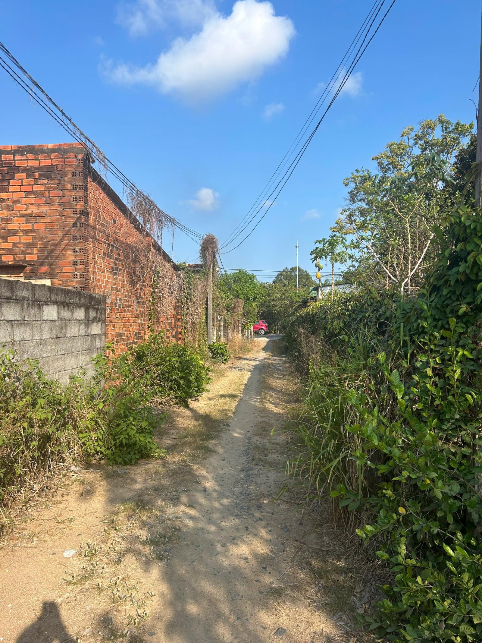 Bán 825m2 đất Hẻm Lê Văn Tám, Tân An, LaGi giá rẻ nhất sổ riêng 15993566