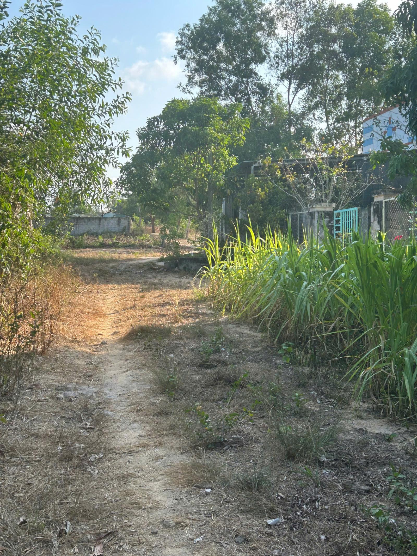 Bán 825m2 đất Hẻm Lê Văn Tám, Tân An, LaGi giá rẻ nhất sổ riêng 15993566