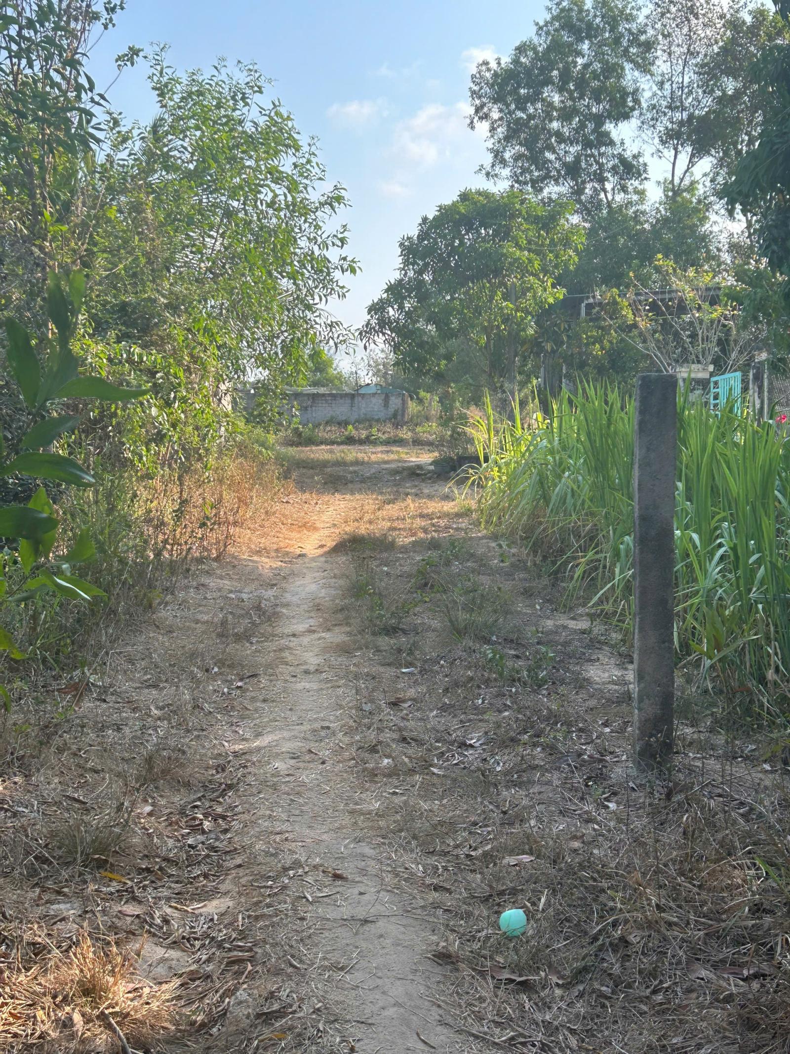 Bán 825m2 đất Hẻm Lê Văn Tám, Tân An, LaGi giá rẻ nhất sổ riêng 15993566