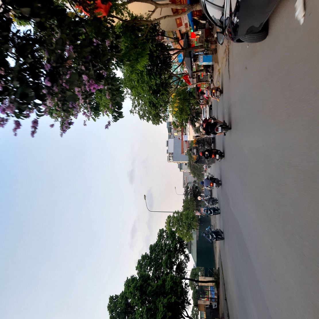 🔥 60m2 Trâu Quỳ Gia Lâm cạnh Học viện Nông nghiệp ngõ 3m chỉ 8 tỷ x. Lh 0989894845 15993636