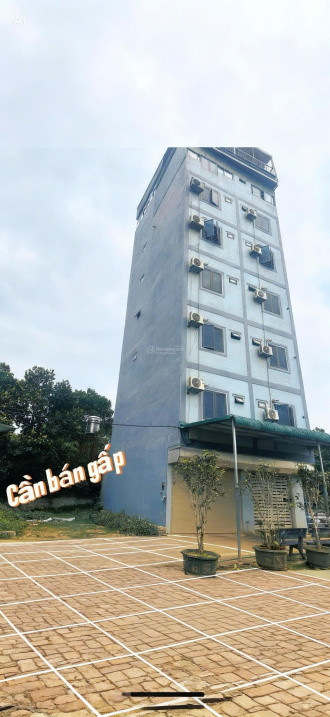 Bán đất chính chủ tại Xã Cổ Đông, Sơn Tây, Hà Nội, 30 triệu/m2, S= 100 m2 full thổ cư 15993669