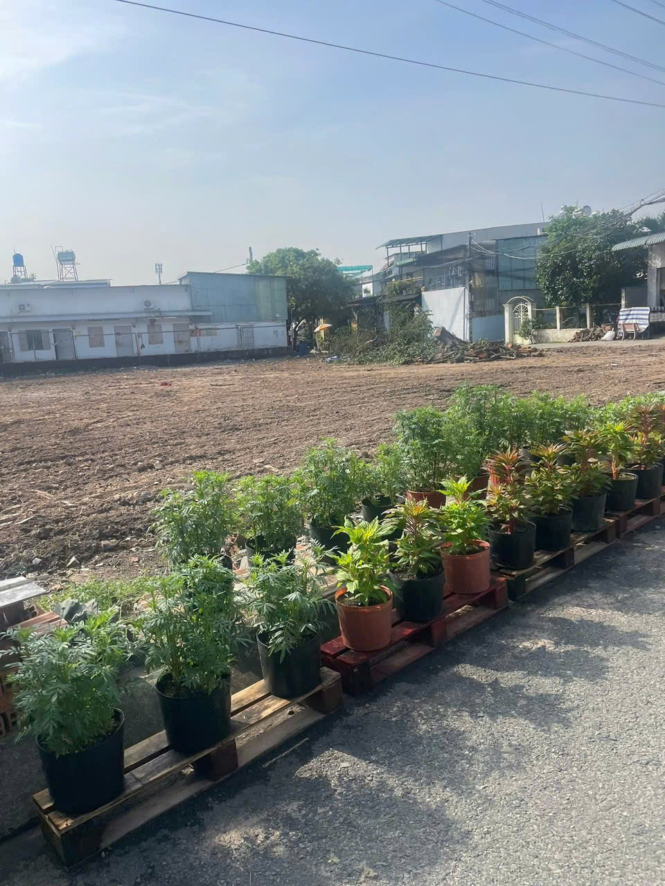 HÀNG FO MỚI RA LÒ ĐẤT 125m MT GIÁ CHỈ 3.75 TỶ – QUÁ HIẾM 15993674