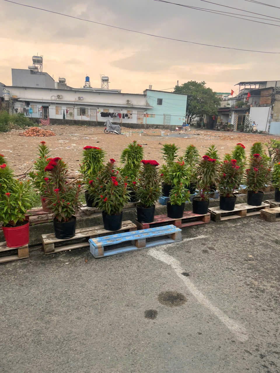 HÀNG FO MỚI RA LÒ ĐẤT 125m MT GIÁ CHỈ 3.75 TỶ – QUÁ HIẾM 15993682