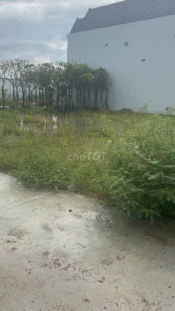 CHÍNH CHỦ BÁN SIÊU PHẨM ĐẤT ĐẸP - Phù Hợp Cho Mọi Gia Đình 15993692