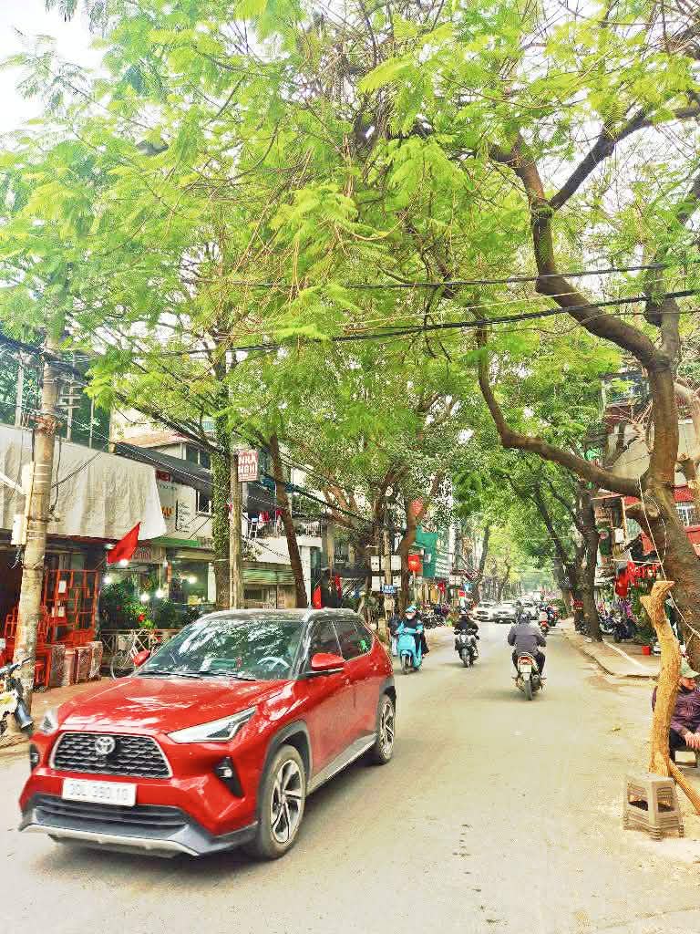 BÁN GẤP NHÀ HOÀNG HOA THÁM TT BA ĐÌNH GIÁP RANH TÂY HỒ, CẦU GIẤY MỚI KOONG THANG MÁY FULL NỘI THẤT DÒNG TIỀN 750 TRIỆU / NĂM 15993799