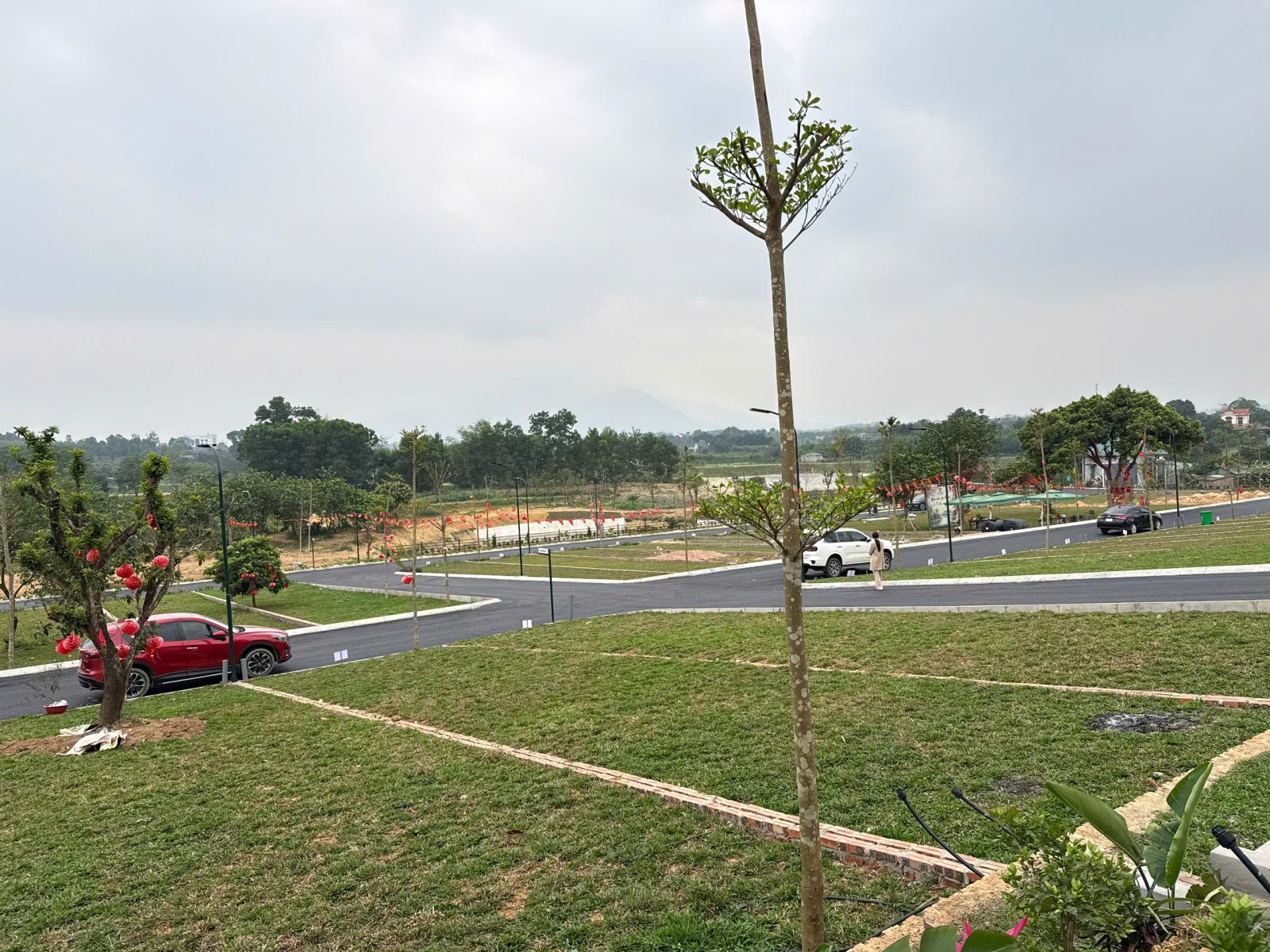 Đất ba vì 110m2 mặt tiền 7m view núi tản và sát suối hai chỉ hơn 1 tỷ 15993832