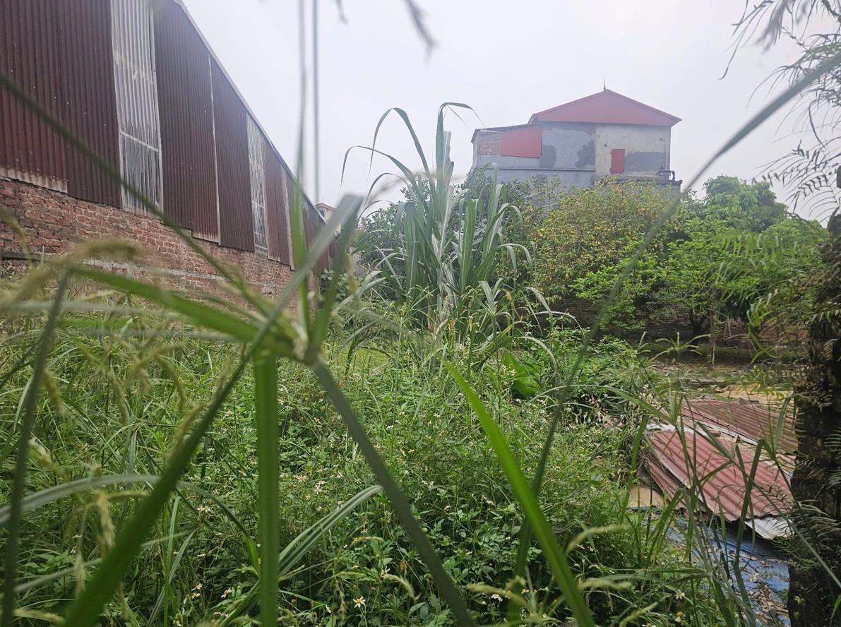 Chính chủ bán lô đất đẹp tại Hà Lâm 2, Thư Lâm, Hà Nội - Mặt tiền 5.2m - Đường thông, ô tô tránh 15993841