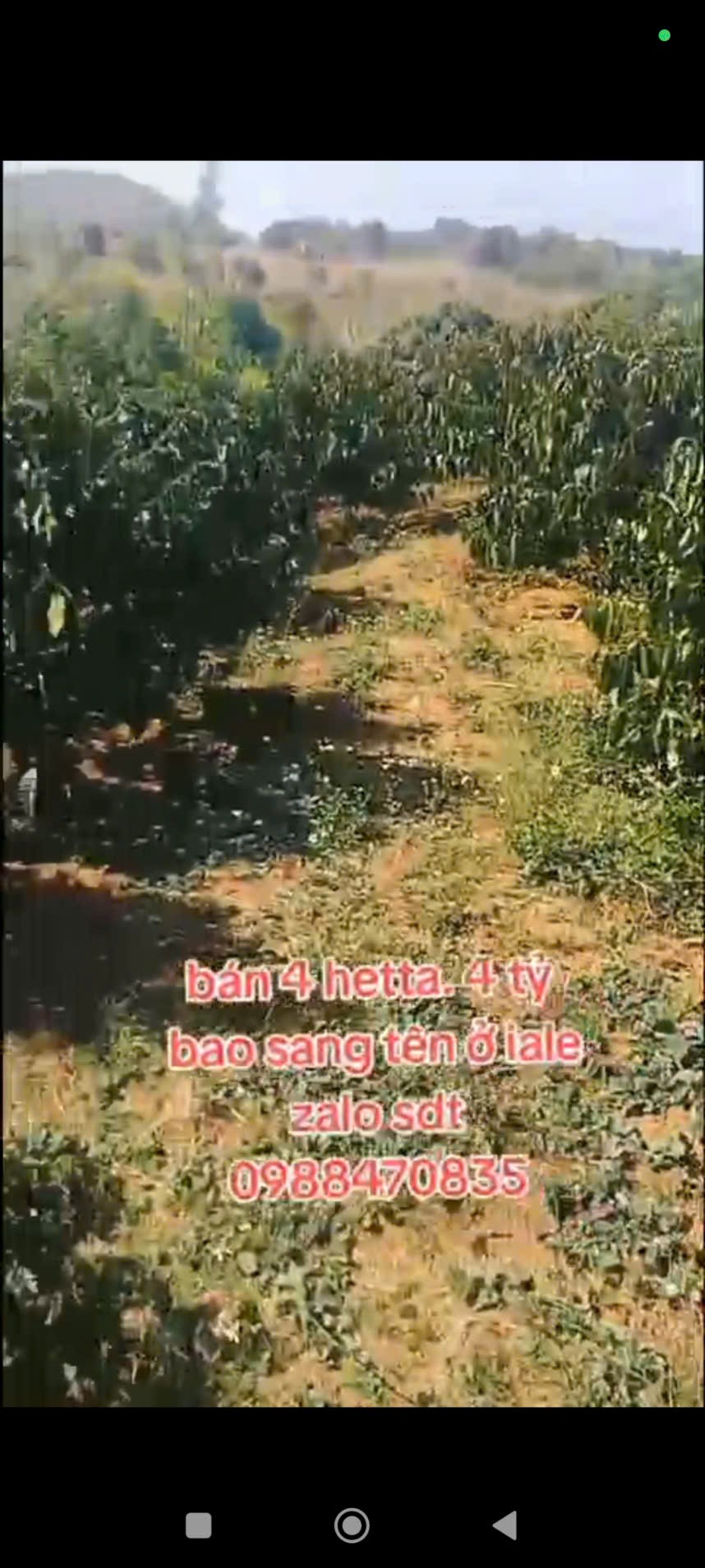 ĐẤT ĐẸP – GIÁ TỐT – CẦN BÁN GẤP LÔ ĐẤT VỊ TRÍ ĐẸPTẠI – Ia Le – Huyện Chư Pưh – Tỉnh Gia Lai 15993848