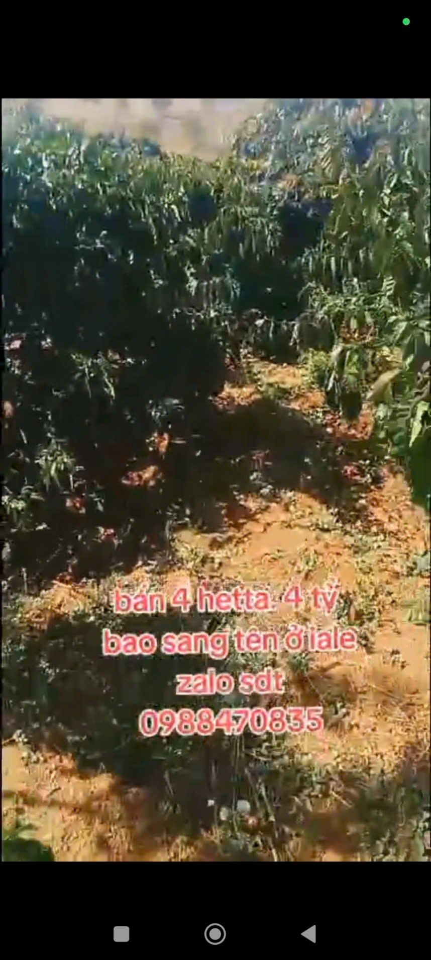 ĐẤT ĐẸP – GIÁ TỐT – CẦN BÁN GẤP LÔ ĐẤT VỊ TRÍ ĐẸPTẠI – Ia Le – Huyện Chư Pưh – Tỉnh Gia Lai 15993848