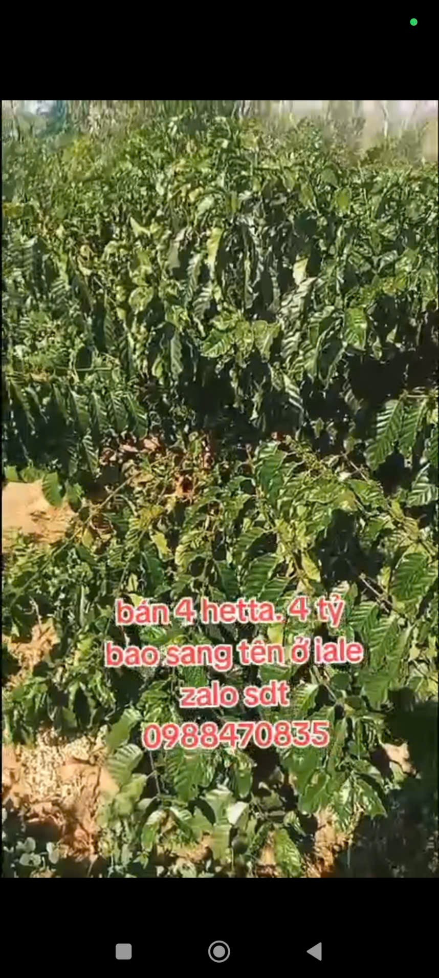 ĐẤT ĐẸP – GIÁ TỐT – CẦN BÁN GẤP LÔ ĐẤT VỊ TRÍ ĐẸPTẠI – Ia Le – Huyện Chư Pưh – Tỉnh Gia Lai 15993848