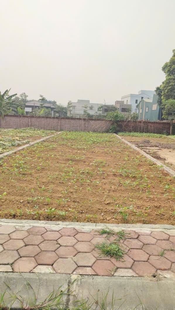 Bán gấp 3 lô duy nhất full thổ cư sát đường 446 cạnh Ngã Tư Vai Réo giá cực tốt 15993865