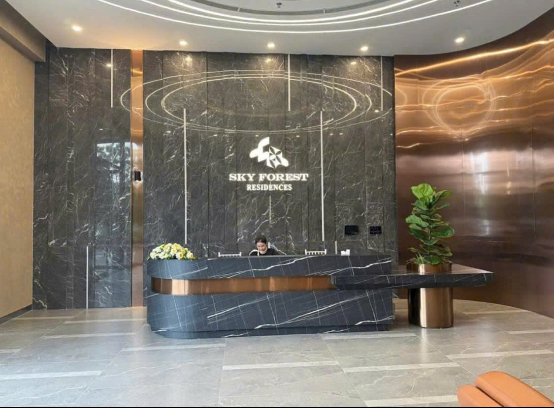 CƠ HỘI SỞ HỮU SHOPHOUSE CHÂN ĐẾ CỰC HIẾM – TRÁI TIM KINH DOANH SKY FOREST ECOPARK 15993929