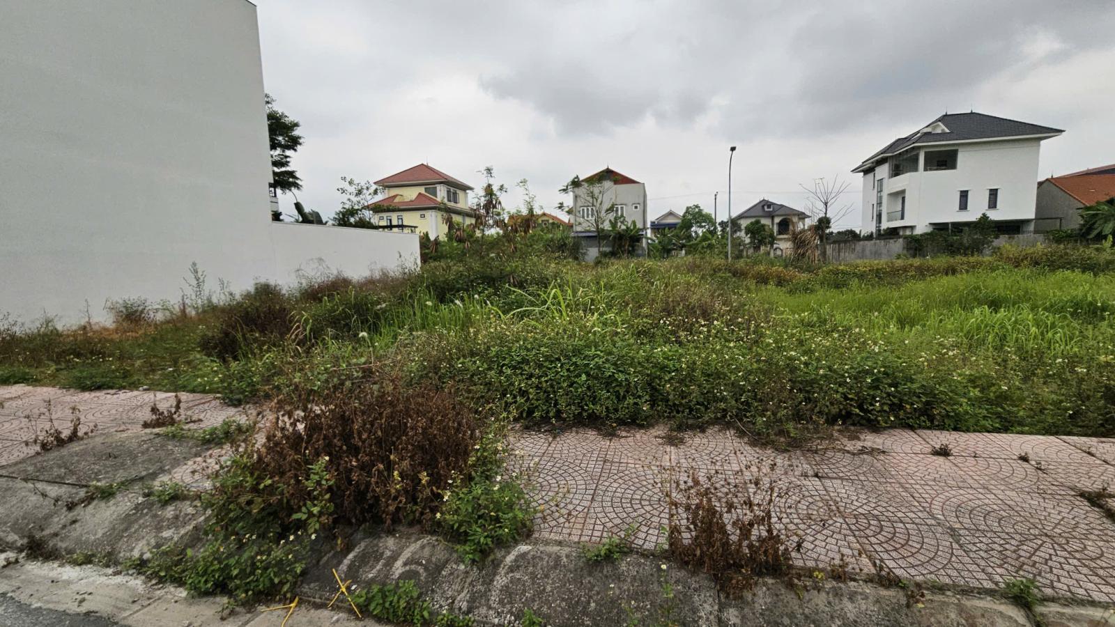 Bán lô 44 diện tích 107m2 khu đấu giá tổ 6 TT.An Dương - Giá: 3,x tỷ 15993954