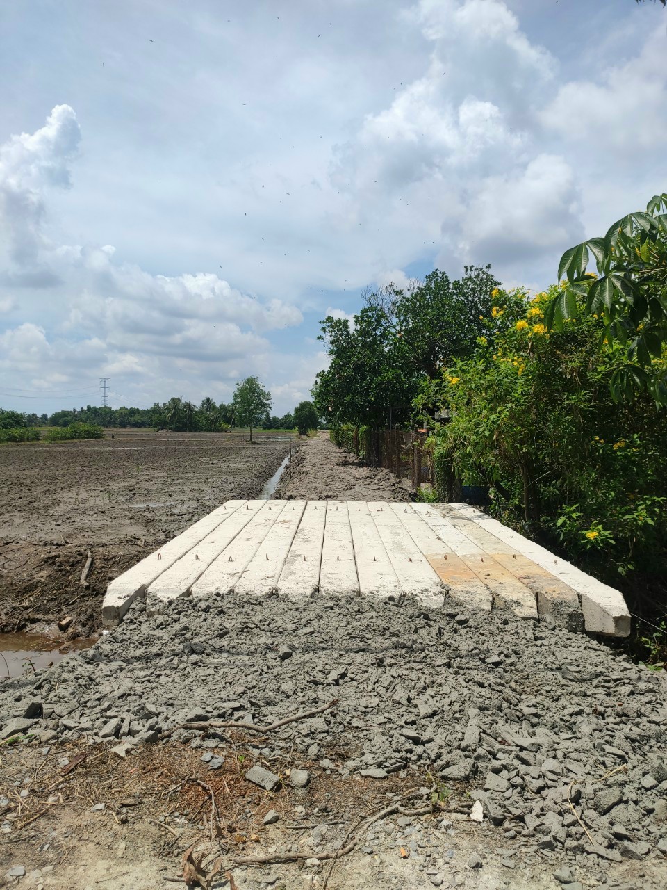 CẦN BÁN 1HA ĐẤT LÚA ĐƯỜNG ĐÊ SỐ 3 15994000