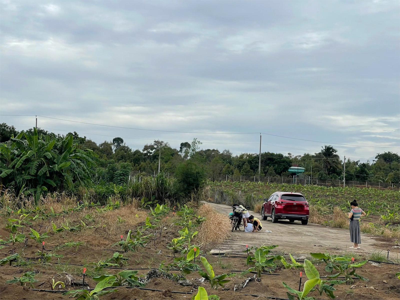 CƠ HỘI ĐẦU TƯ SIÊU HẤP DẪN - CẦN BÁN GẤP ĐẤT – GIÁ NGỘP HIẾM CÓ TẠI Sông Ray, Cẩm Mỹ 15994037