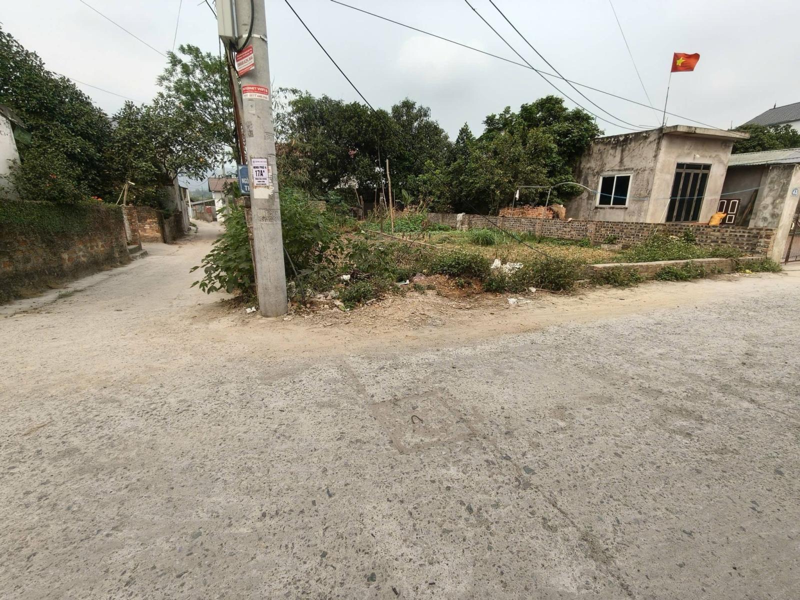 Chủ cần ra lô 100m2, mt5m, Phú Hạ, Sóc Sơn, lô góc, ô tô tải, 3.25 tỷ. 15994069