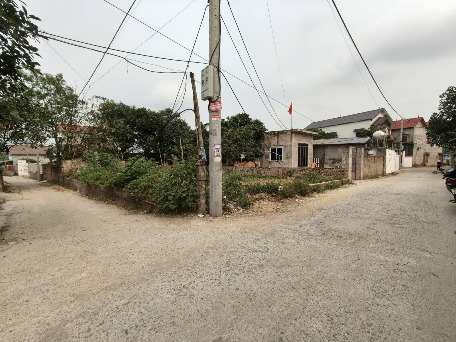 Chủ cần ra lô 100m2, mt5m, Phú Hạ, Sóc Sơn, lô góc, ô tô tải, 3.25 tỷ. 15994069