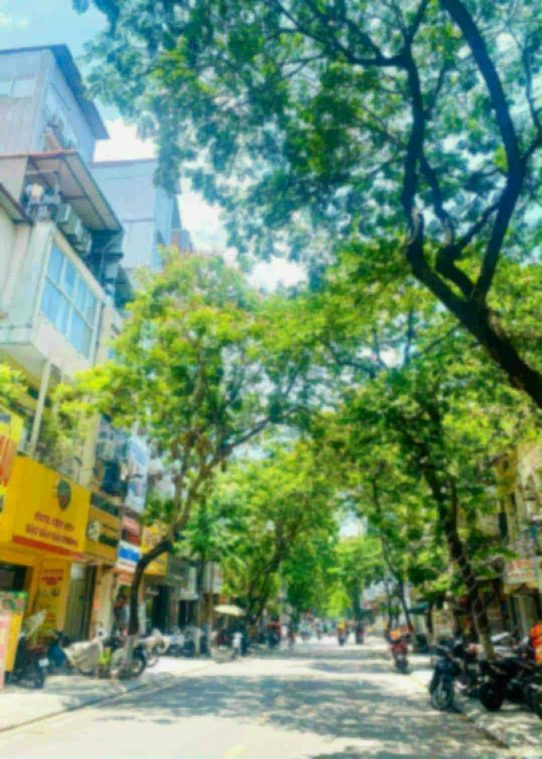 BÁN GẤP NHÀ ĐỘI CẤN TT BA ĐÌNH MỚI KOONG FULL NỘI THẤT 40M X 5 TẦNG 7,99 TỶ  15994081