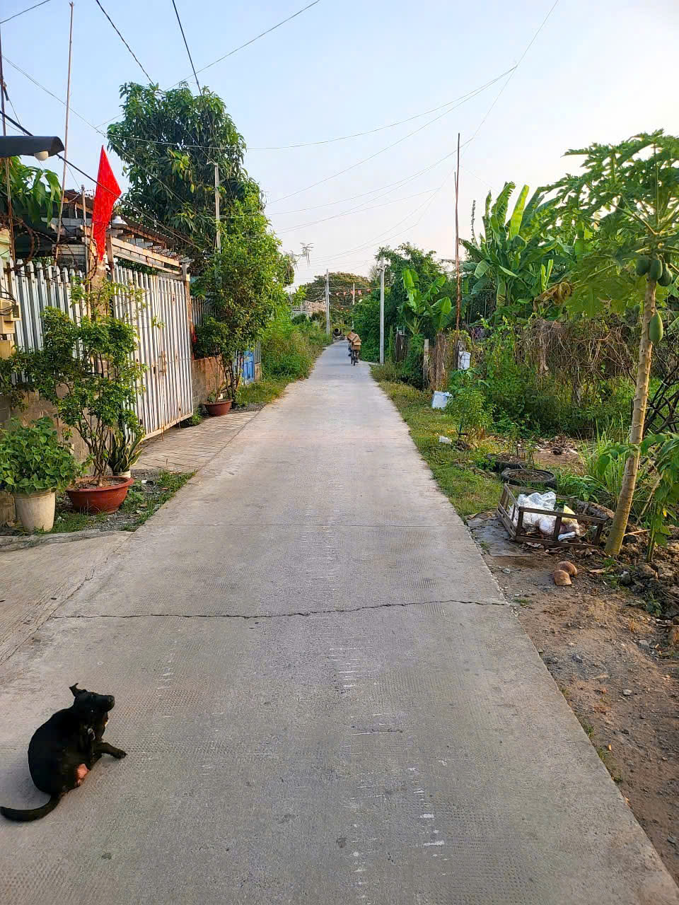 CẦN BÁN 300M2 ĐẤT THỔ CƯ HẺM THÔNG XE HƠI 15994121