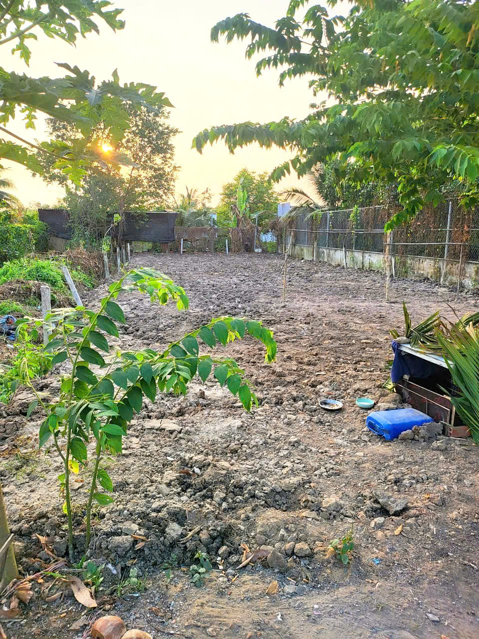 CẦN BÁN 300M2 ĐẤT THỔ CƯ HẺM THÔNG XE HƠI 15994121