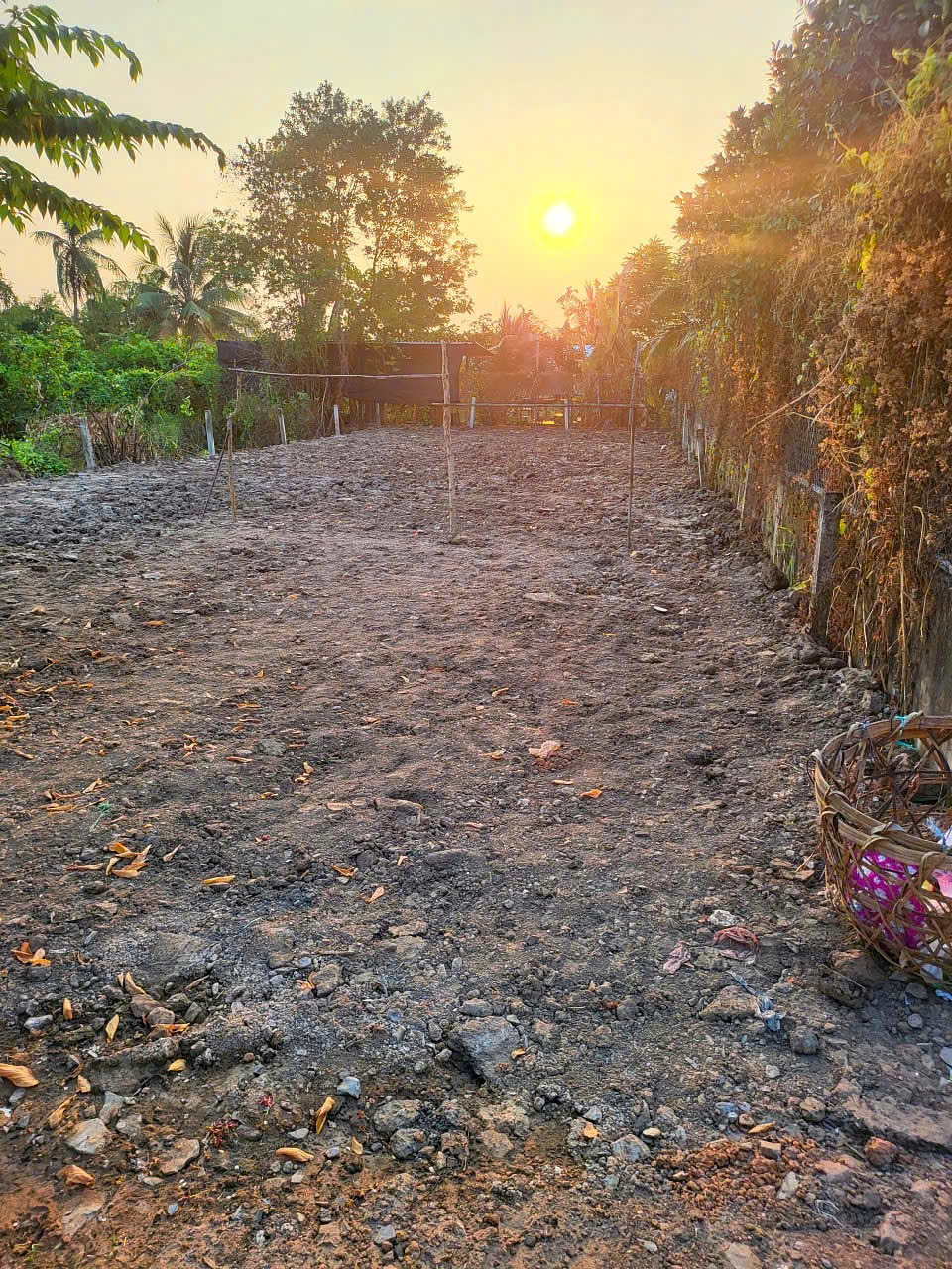 CẦN BÁN 300M2 ĐẤT THỔ CƯ HẺM THÔNG XE HƠI 15994121