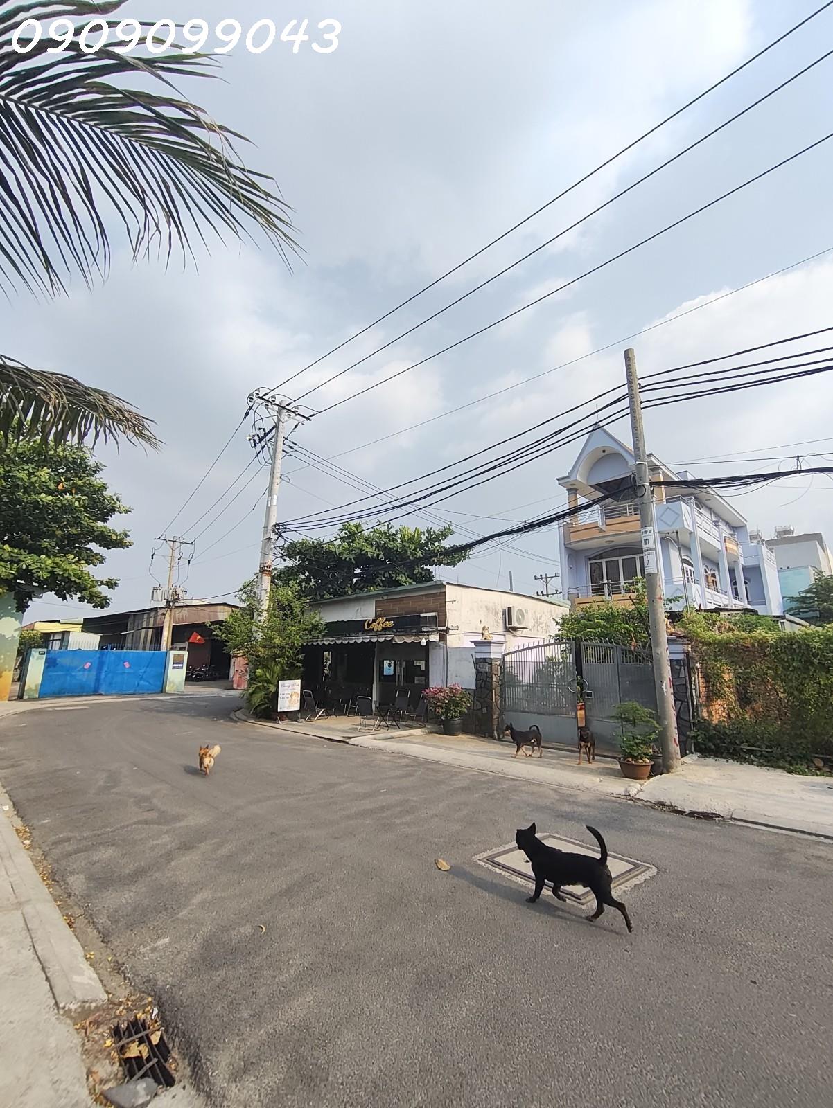 🔥 ĐẤT MT ĐÔNG HƯNG THUẬN – 1.058M², NGANG 19M HIẾM 15994152