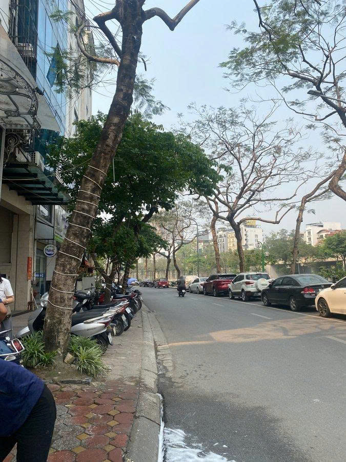 CẦU GIẤY – LÔ ĐẤT 230M² MẶT TIỀN 15M – HÀNG HIẾM “KHÔNG CÓ LẦN 2” – GIÁ CHẠM ĐÁY KHU VỰC 15994195