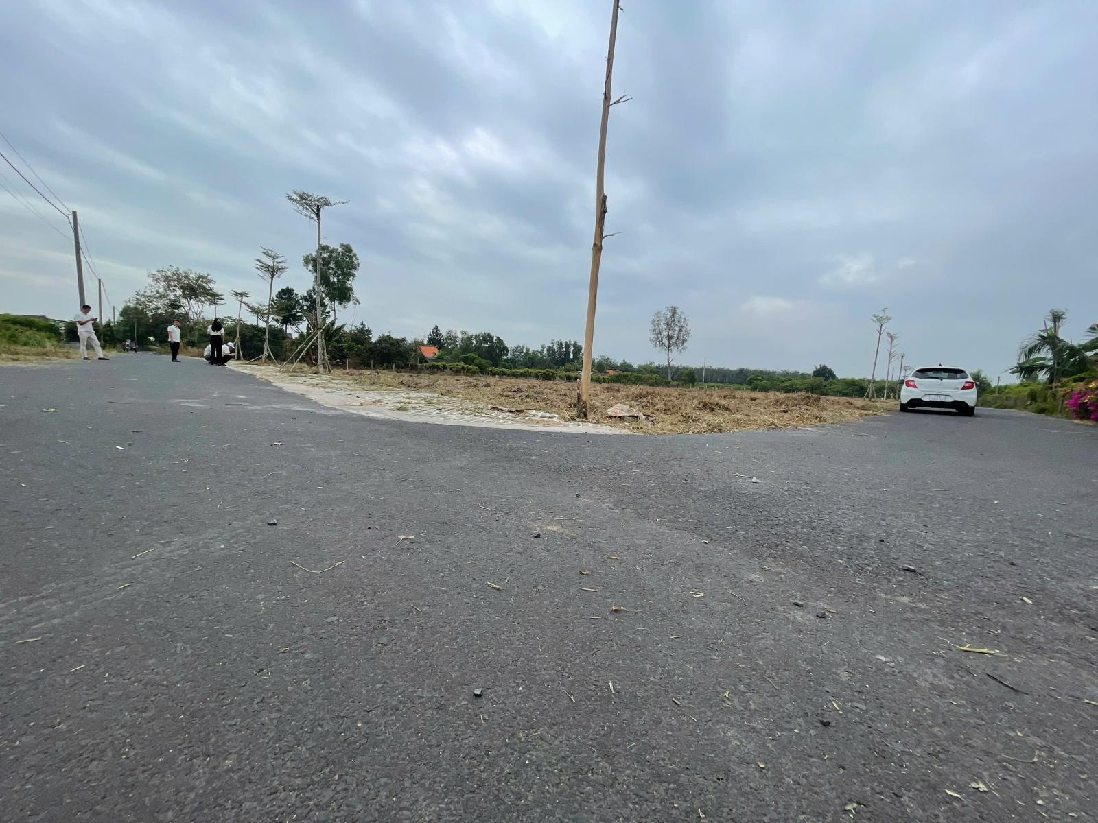 Đất bán 5 lô 5mx25m 100TC SHR hồ tràm gần trục cao tốc long thành hồ tràm giá 5.9tr/m2 15994197