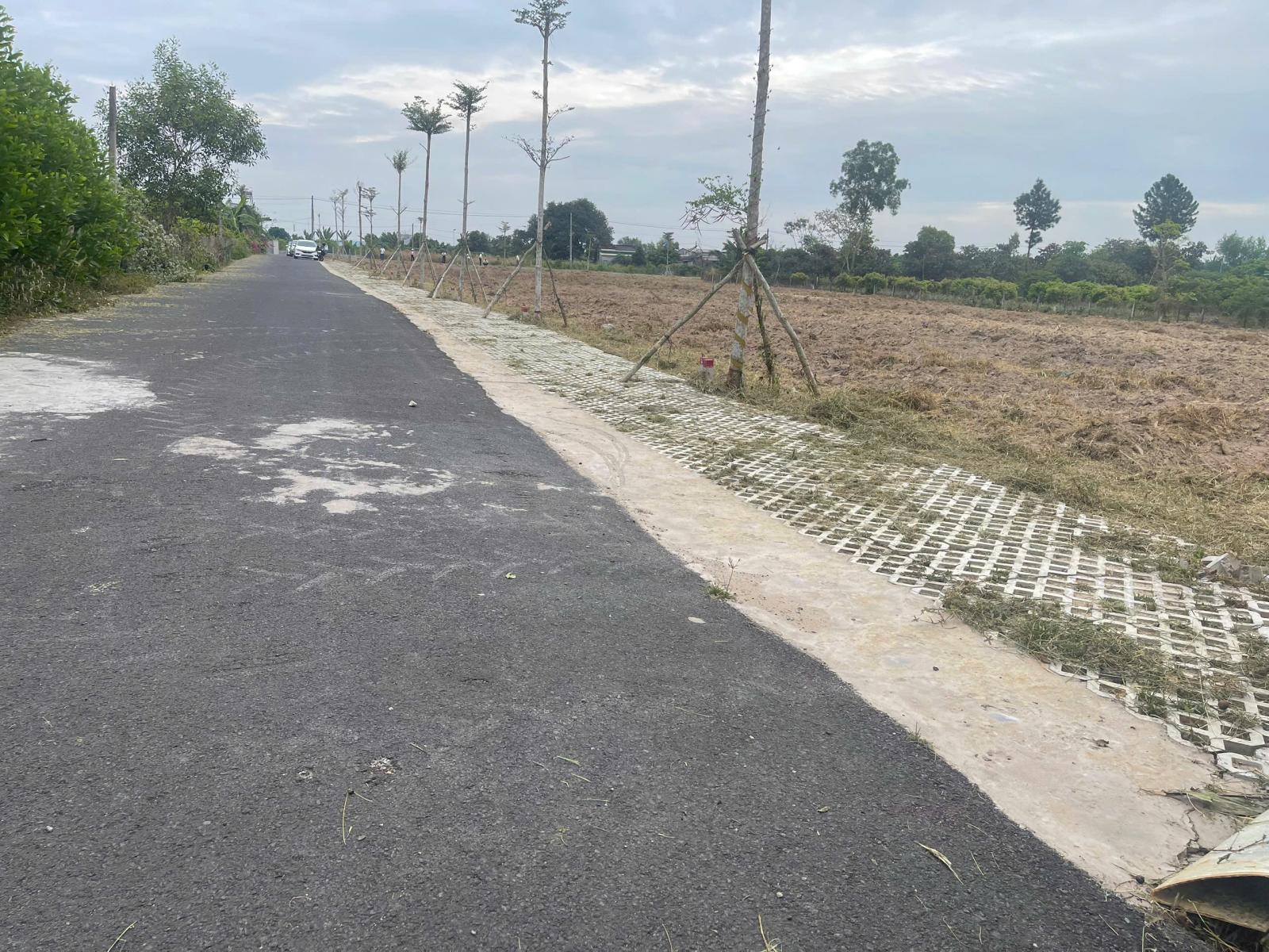 Đất bán 5 lô 5mx25m 100TC SHR hồ tràm gần trục cao tốc long thành hồ tràm giá 5.9tr/m2 15994197